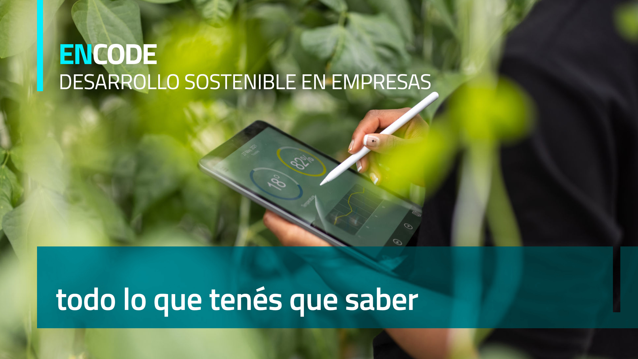 Desarrollo sostenible en las empresas
